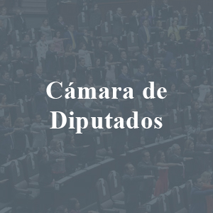 HoverCámara de Diputados