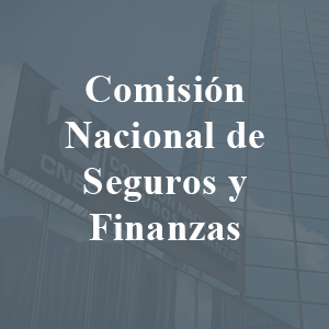 HoverComision Nacional de Seguros y Finanzas