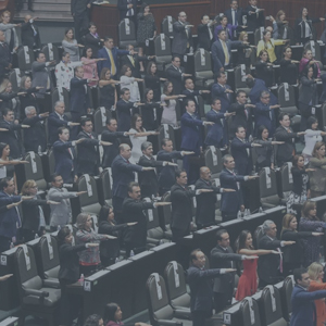 LigasCámara de Diputados